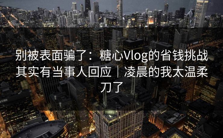 别被表面骗了：糖心Vlog的省钱挑战其实有当事人回应｜凌晨的我太温柔刀了