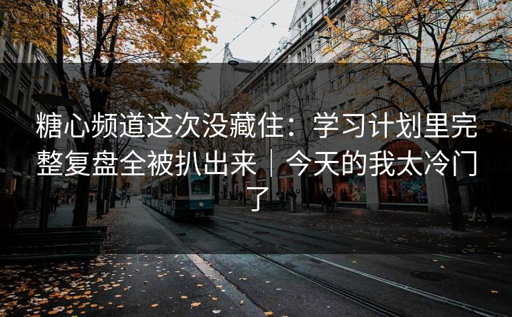 糖心频道这次没藏住：学习计划里完整复盘全被扒出来｜今天的我太冷门了