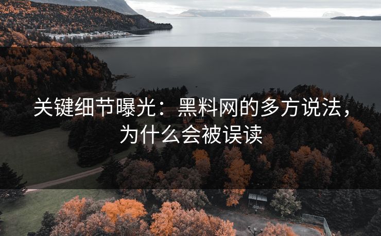 关键细节曝光：黑料网的多方说法，为什么会被误读