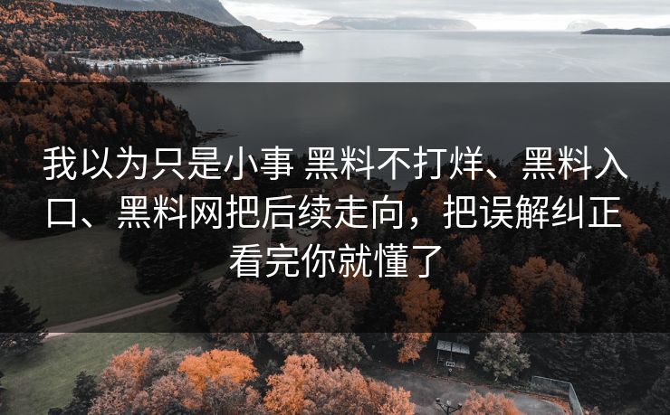 我以为只是小事 黑料不打烊、黑料入口、黑料网把后续走向，把误解纠正 看完你就懂了