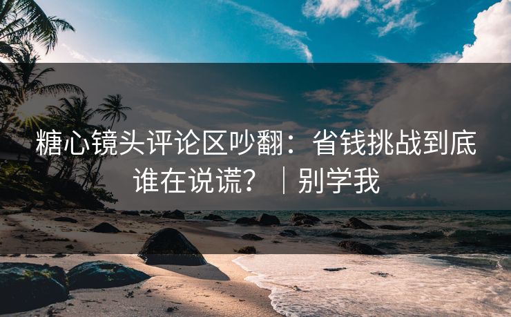 糖心镜头评论区吵翻：省钱挑战到底谁在说谎？｜别学我