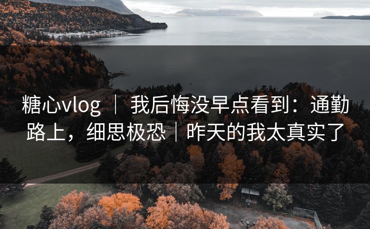 糖心vlog ｜ 我后悔没早点看到：通勤路上，细思极恐｜昨天的我太真实了