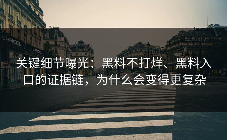 关键细节曝光：黑料不打烊、黑料入口的证据链，为什么会变得更复杂