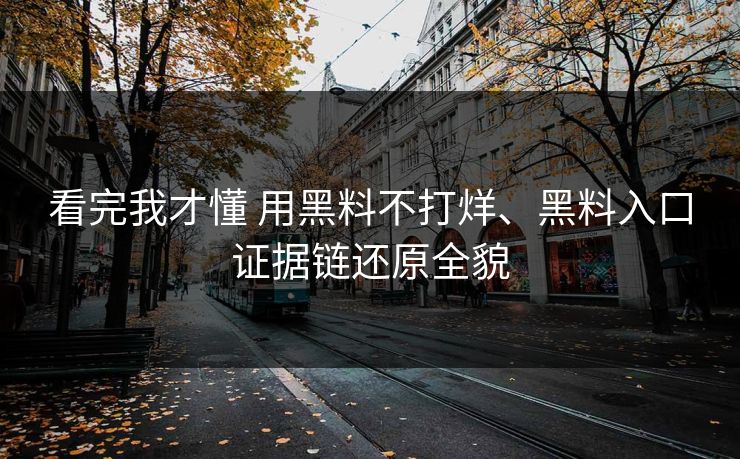 看完我才懂 用黑料不打烊、黑料入口证据链还原全貌