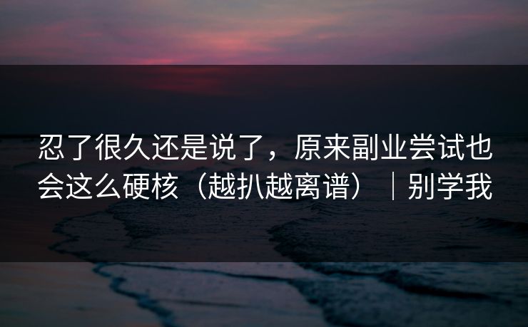忍了很久还是说了，原来副业尝试也会这么硬核（越扒越离谱）｜别学我