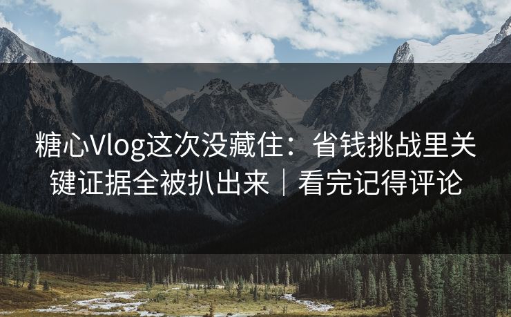 糖心Vlog这次没藏住：省钱挑战里关键证据全被扒出来｜看完记得评论