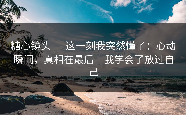糖心镜头 ｜ 这一刻我突然懂了：心动瞬间，真相在最后｜我学会了放过自己