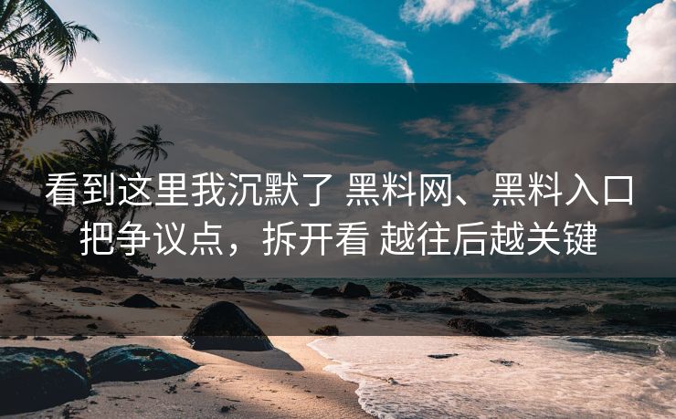 看到这里我沉默了 黑料网、黑料入口把争议点，拆开看 越往后越关键