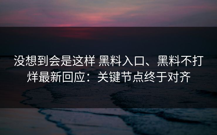 没想到会是这样 黑料入口、黑料不打烊最新回应：关键节点终于对齐