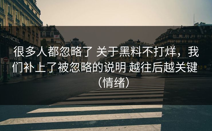 很多人都忽略了 关于黑料不打烊，我们补上了被忽略的说明 越往后越关键 （情绪）