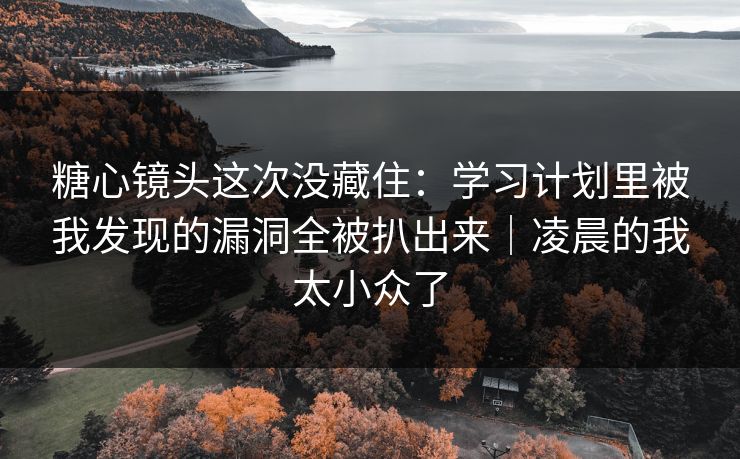 糖心镜头这次没藏住：学习计划里被我发现的漏洞全被扒出来｜凌晨的我太小众了