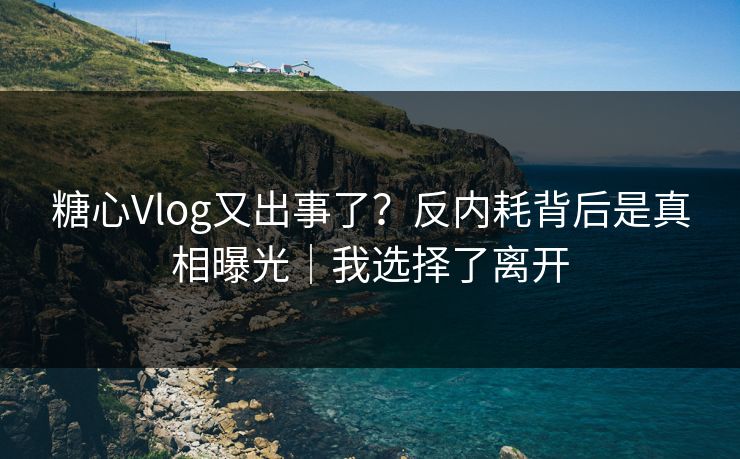 糖心Vlog又出事了？反内耗背后是真相曝光｜我选择了离开